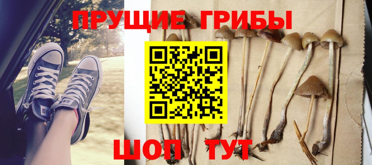 Родники  Псилоцибиновые грибы ЛСД  Вход с VPN 